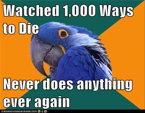 Animal Memes: Paranoid Parrot - Turns Out That's One of the Ways