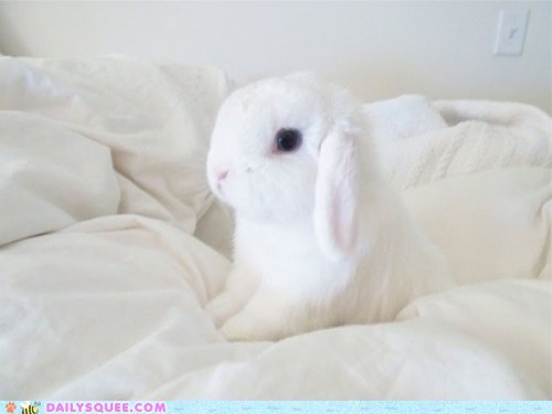 Bunday: Snow White 