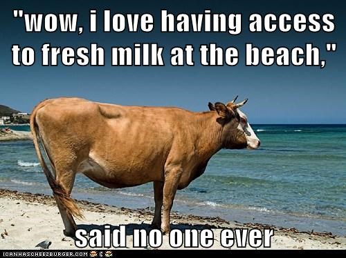 "wow, i love having access to fresh milk at the beach,"  said no one ever