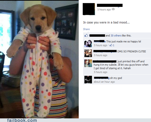 Failbook: In Case Your Day Was Going Badly ...