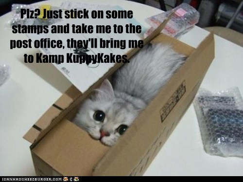 Plz? Just stick on some stamps and take me to the post office, they'll bring me to Kamp KuppyKakes.