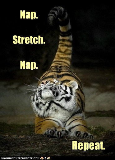 Planning My Morning: Done
