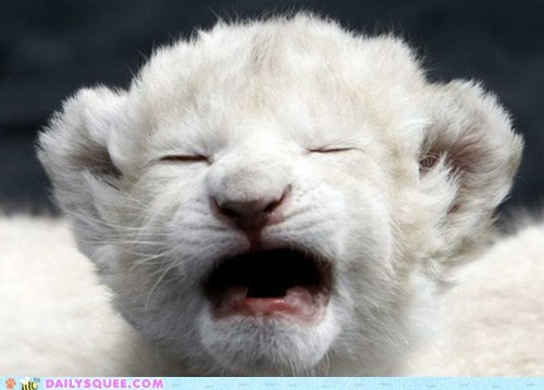 Yawning Baby