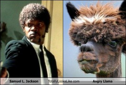 Samuel L. Jackson Totally Looks Like Angry Llama