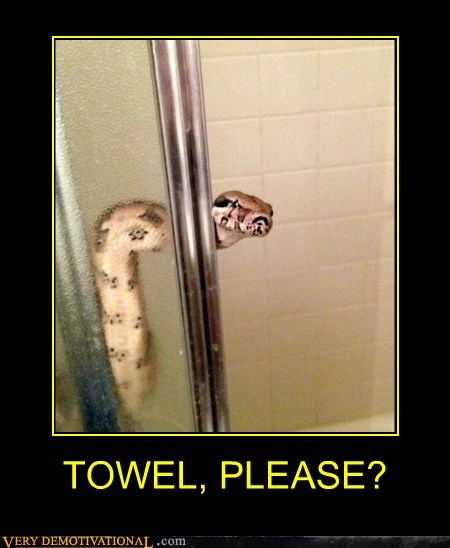 TOWEL, PLEASE?