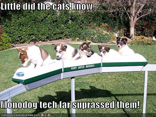 Little did the cats know  Monodog tech far suprassed them!
