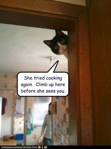 She tried cooking again.  Climb up here before she sees you.