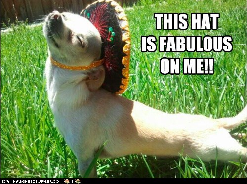 I Has A Hotdog: Fabulous Fashion