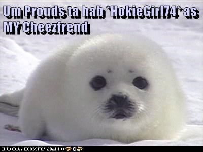Um Prouds ta hab *HokieGirl74* as MY Cheezfrend