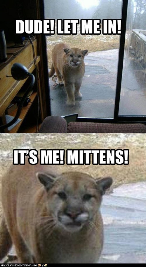 My, Mittens, What Big Everything You Have...