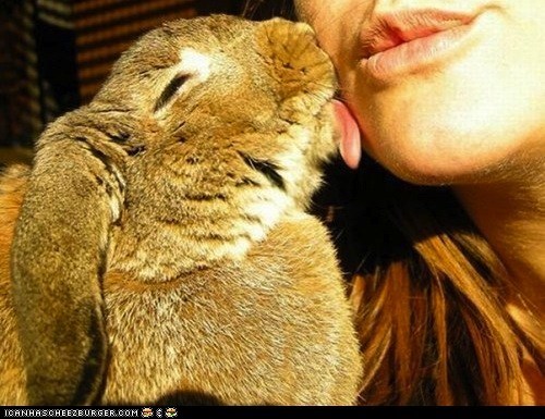 Daily Squee: Wet Kisses