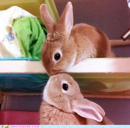 Daily Squee: Stretching to Smooch