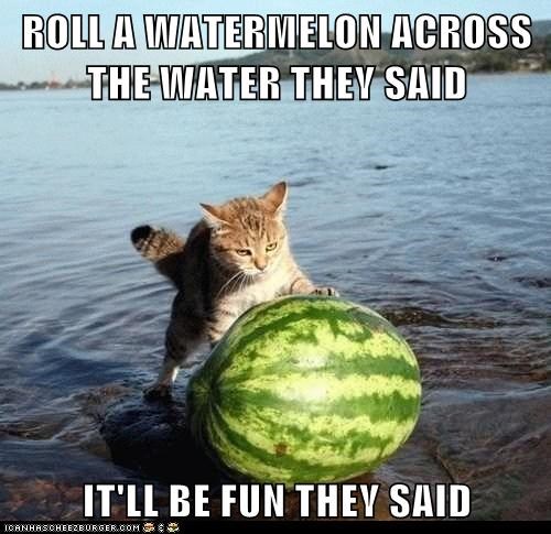 ROLL A WATERMELON ACROSS THE WATER THEY SAID  IT'LL BE FUN THEY SAID