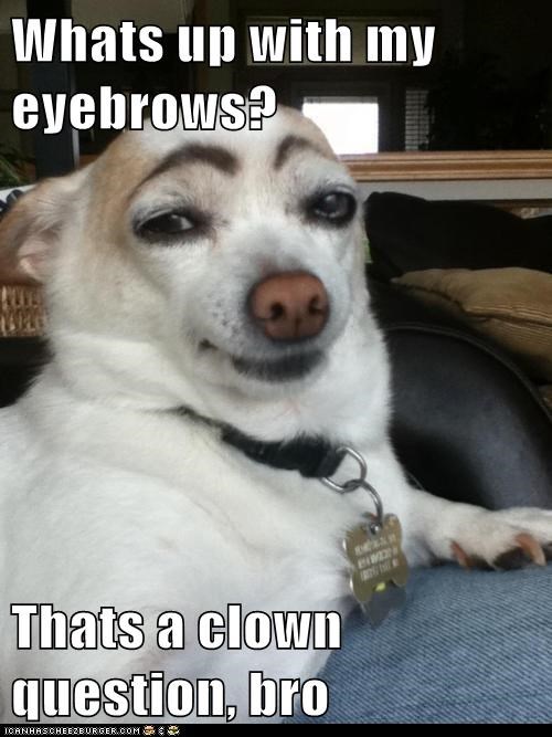 Whats up with my eyebrows?  Thats a clown question, bro