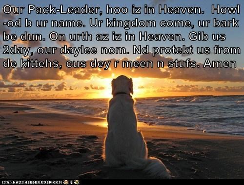 Our Pack-Leader, hoo iz in Heaven.  Howl-od b ur name. Ur kingdom come, ur bark be dun. On urth az iz in Heaven. Gib us 2day, our daylee nom. Nd protekt us from de kittehs, cus dey r meen n stufs. Amen