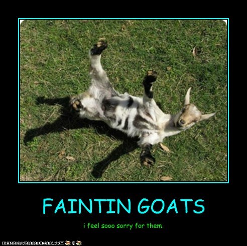FAINTIN GOATS