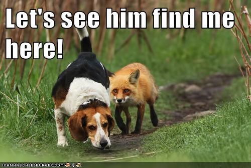 Let's see him find me here!