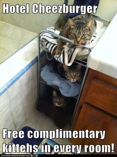 Hotel Cheezburger  Free complimentary kittehs in every room!