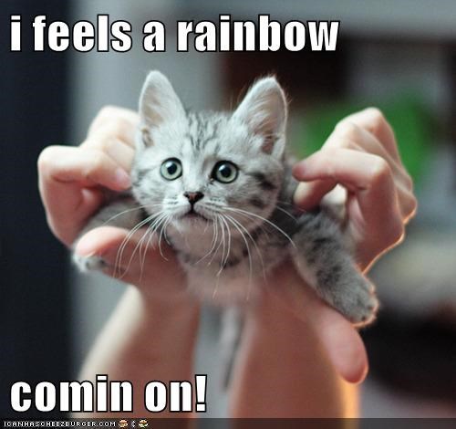 i feels a rainbow   comin on!