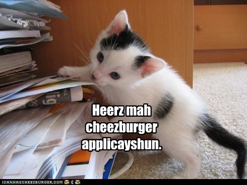 Application for cheezburger