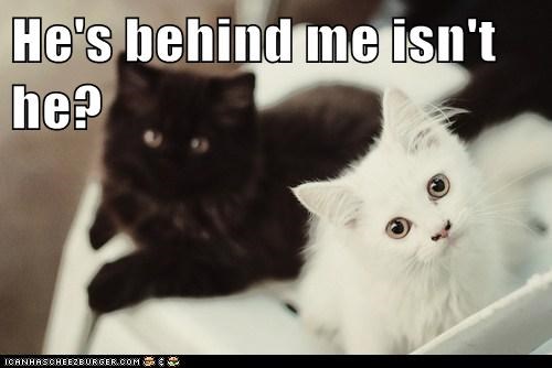 He's behind me isn't he?