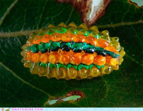 Creepicute: Jewel Caterpillar 