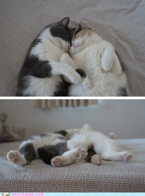 Little Love Snuggle