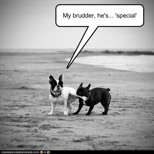 I Has A Hotdog: "Special"