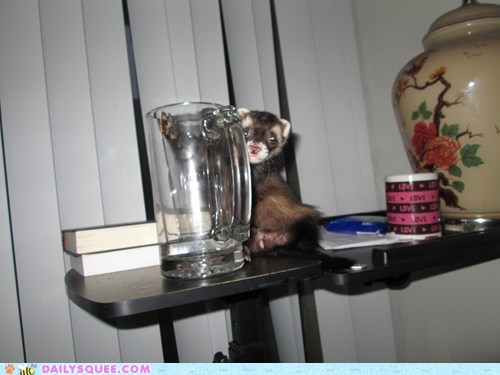 Reader Squee: Oh Sorry, Is This Your Water?