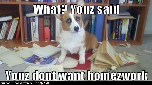 What? Youz said  Youz dont want homezwork