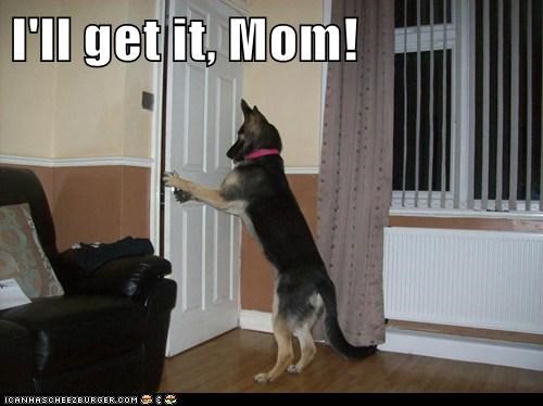I'll get it, Mom!