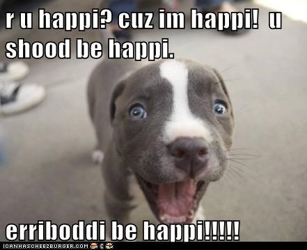 Erriboddi be happi!