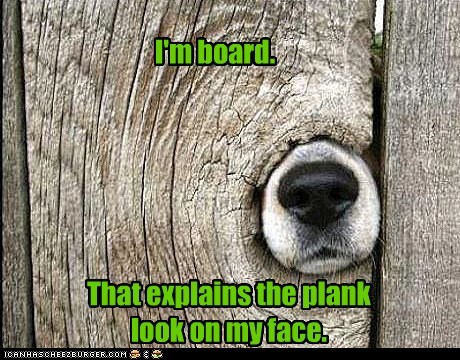I Has A Hotdog: I'm board...