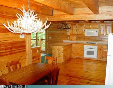 How Much Wood Would a Woodchuck Chuck...