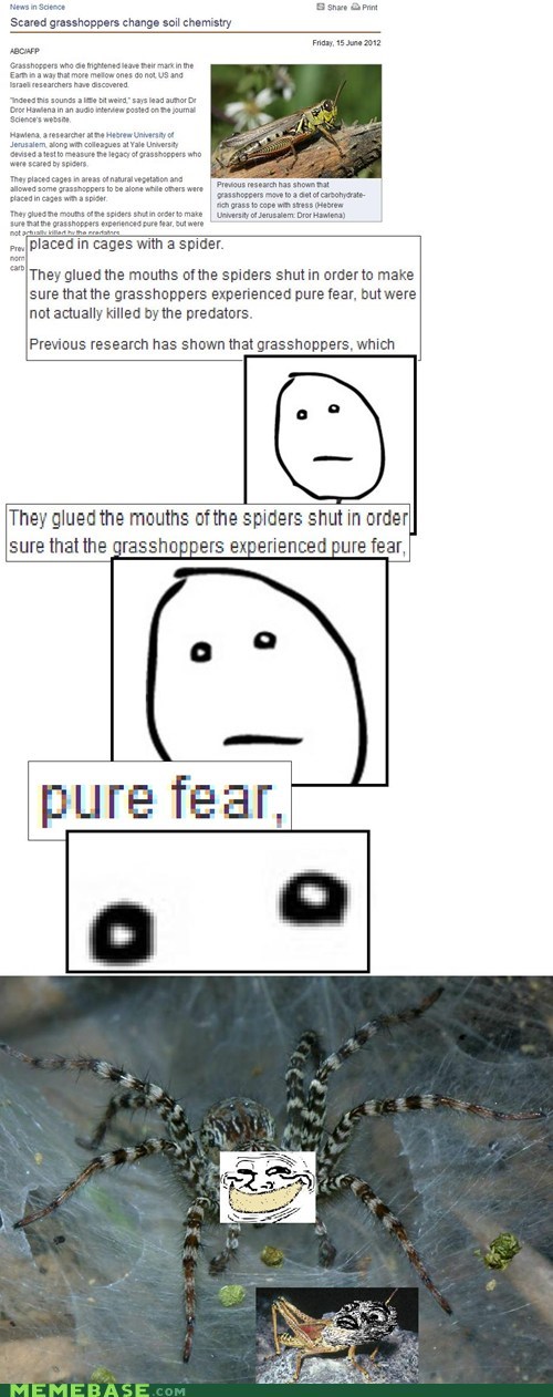 Rage Comics: I Know That Fear, Bro