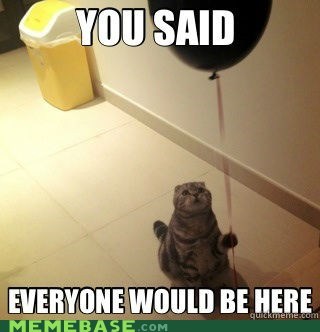 Sad Birthday Cat