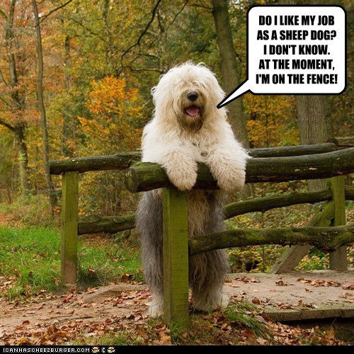 I'm on the fence 