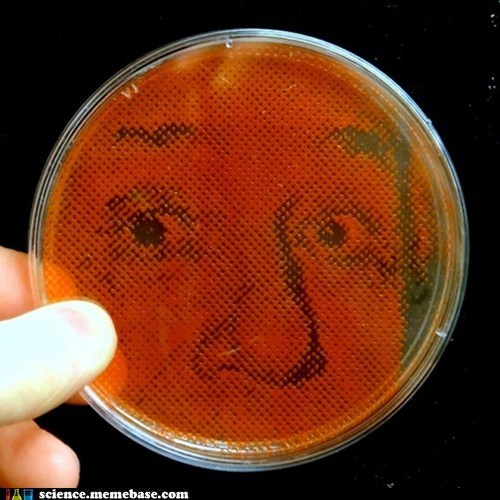 A Microbial Einstein