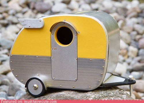 Birdies Travel in Style