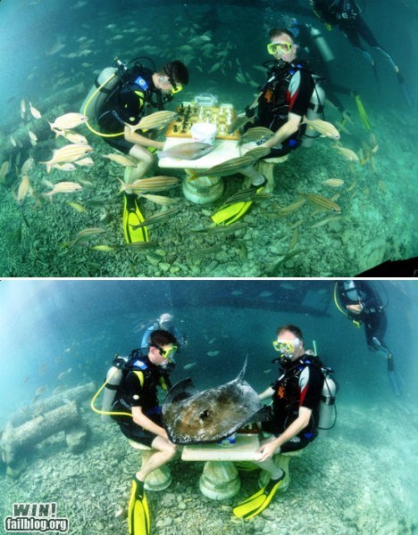 Underwater Chess WIN