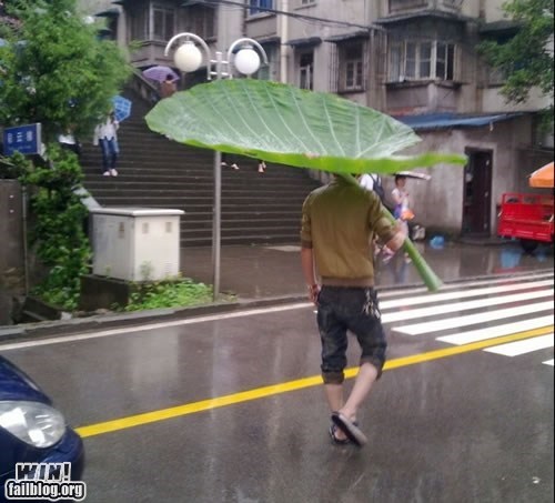 DIY Umbrella WIN