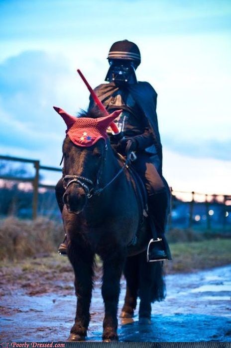 Darth Burro Patrols the Border