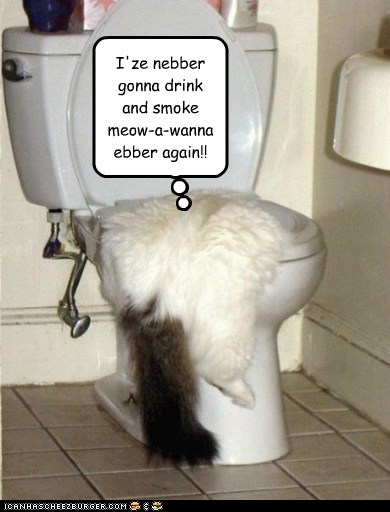 I'ze nebber gonna drink and smoke meow-a-wanna ebber again!!