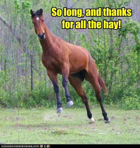 Animal Capshunz: So Sad It Had to End Today