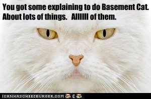 You got some explaining to do Basement Cat. About lots of things.   Allllll of them.