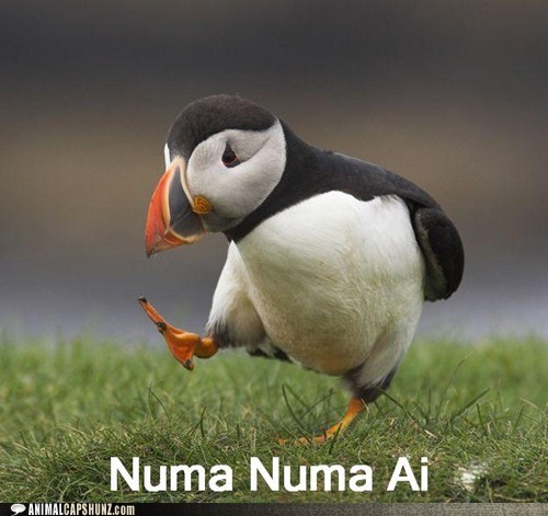 Cuter Than the Fat Guy