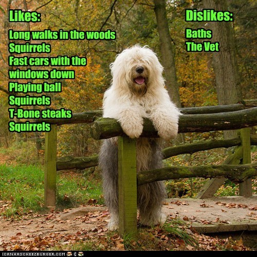 E-Bark-ony Profile