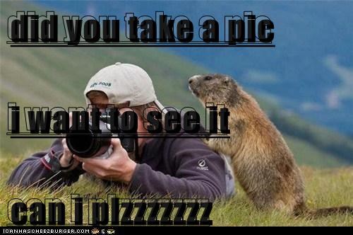 did you take a pic i want to see it can i plzzzzzzz