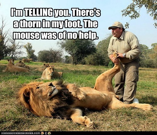 He Just Laughed at Me. The Story Lied.