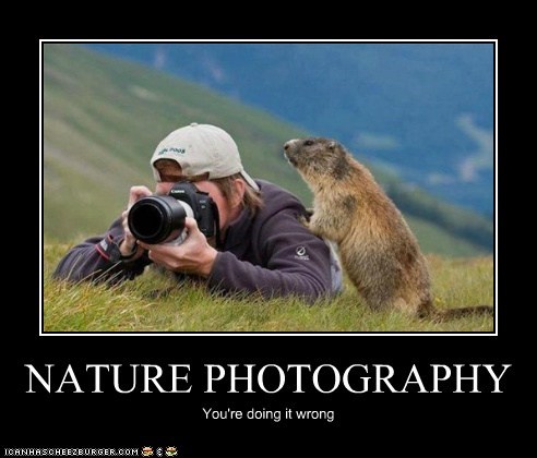 Animal Capshunz: Nature's This Way, Pal